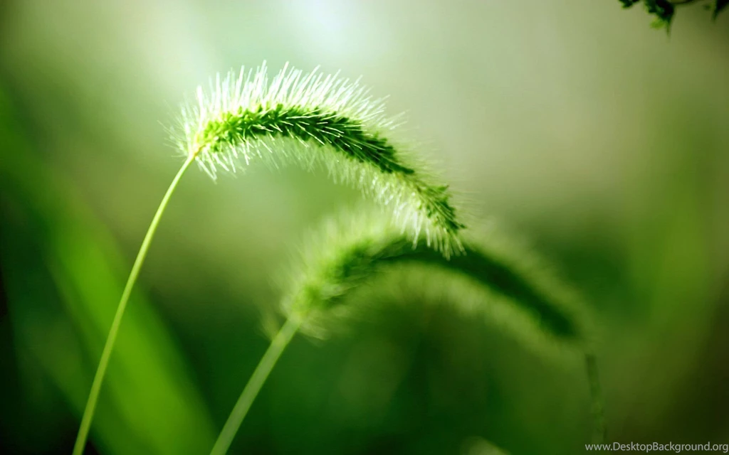 Widescreen Landscape Wallpapers 23210 Wallpapers Landscape ...