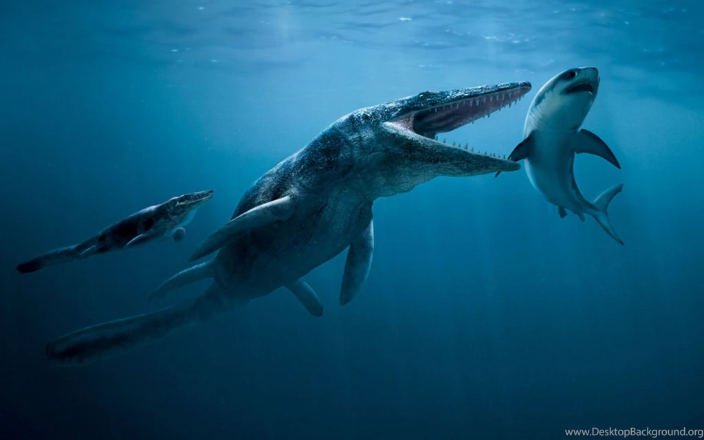 Gallery For Megalodon Shark Wallpapers