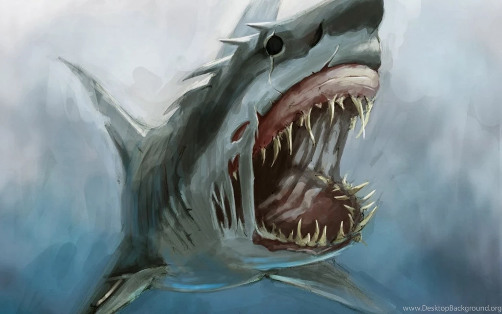 Shark Wallpapers 3597 Backgrounds Wallpapers Wallnos.com