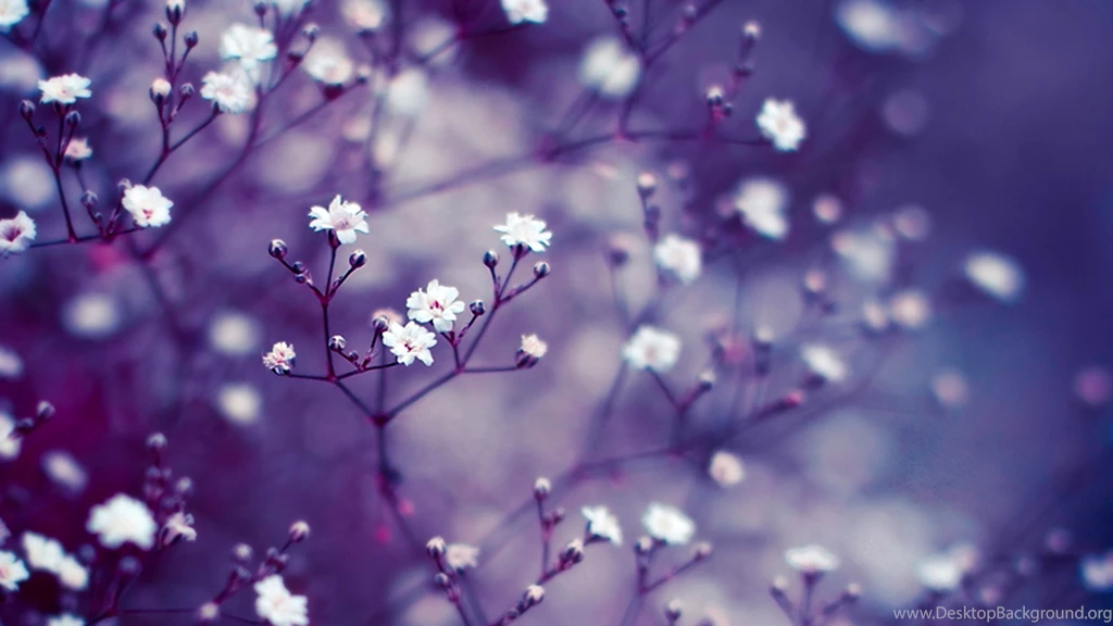 Branches_grass_flowers_background_50119_3840x2160.jpg