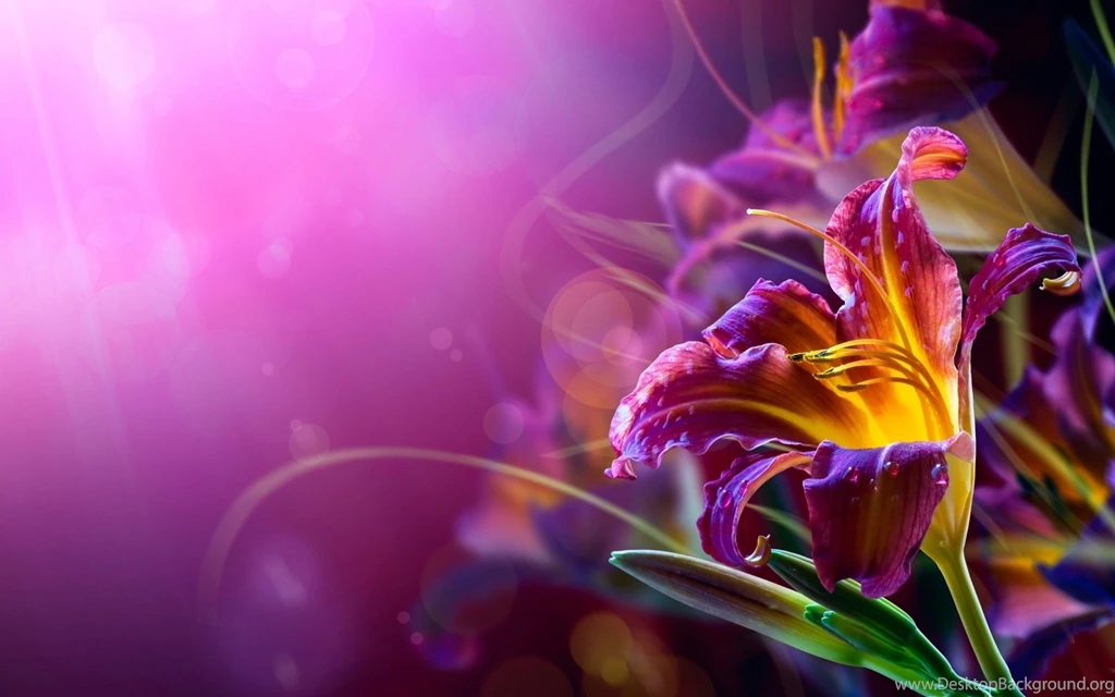 Cool Abstract Flower