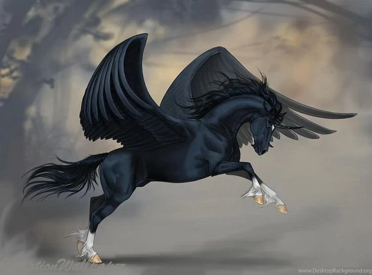 Pegasus On Pinterest
