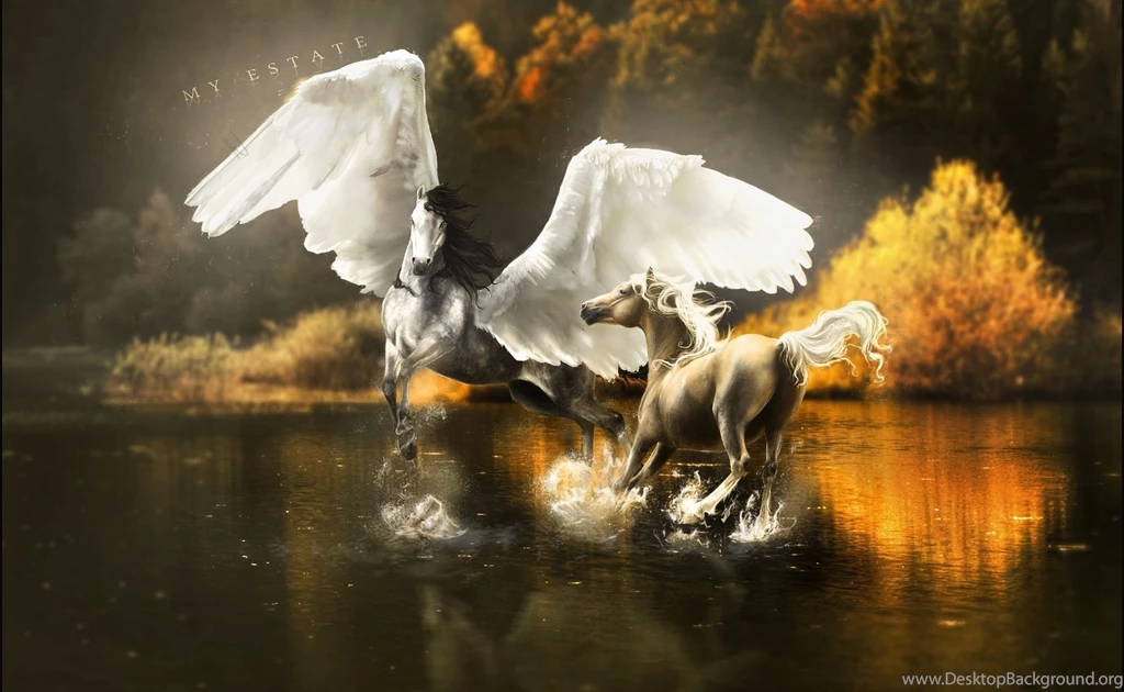 Magical Animals Pegasus Horses Wings Horse Lake Autumn Reflection ...