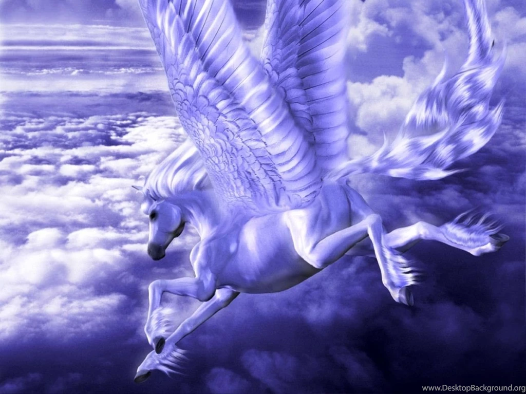 Beautiful Horse Computer Wallpapers, Desktop Backgrounds ...