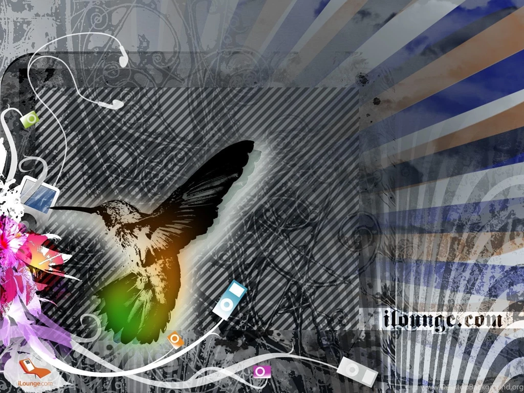 Humming Bird Computer Wallpapers, Desktop Backgrounds