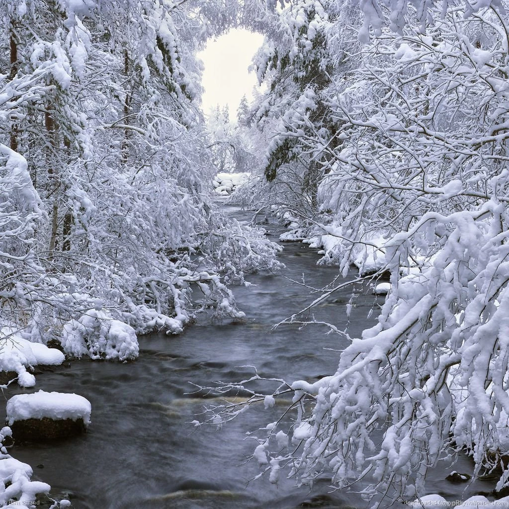 Download Swedish Winter Wallpapers For IPad