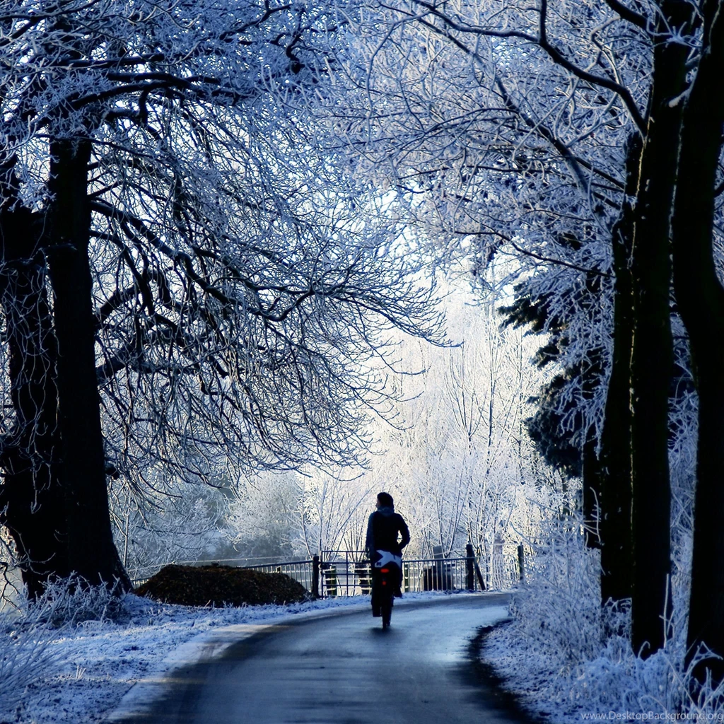 Winter Road Scene iPad Air Wallpapers Download