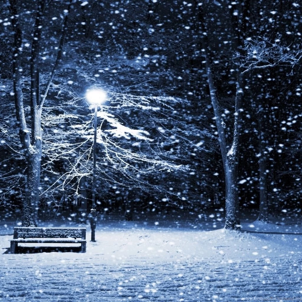 Snow Winter Scene iPad 1 & 2 Wallpapers