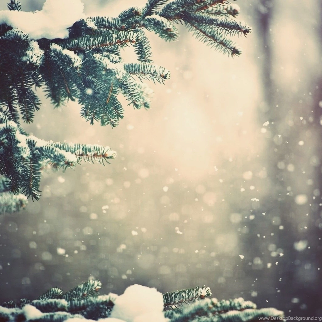 Winter Snow Pine Tree Bokeh iPad Wallpapers HD