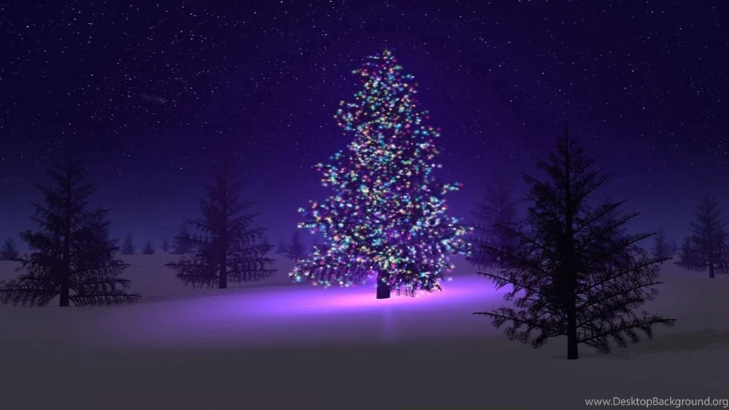 Latest Christmas Trees+01.jpg