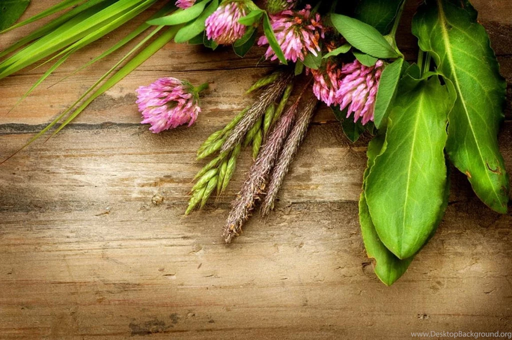 Floral Backgrounds (