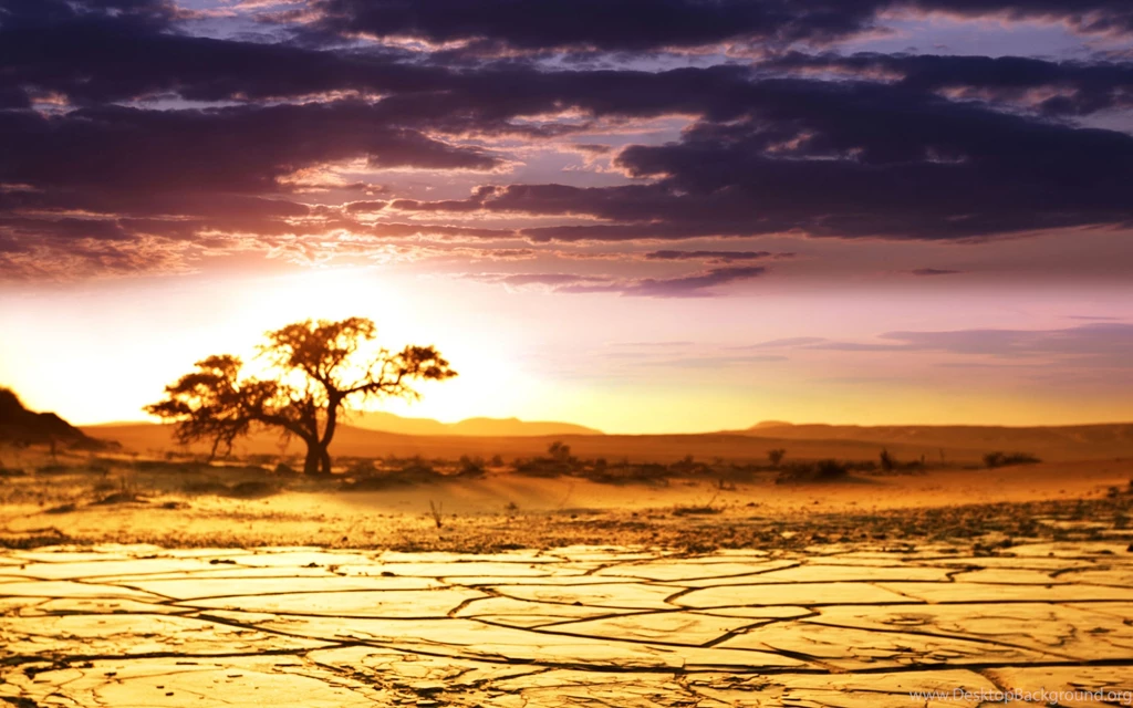 Ultra HD 4K Africa Wallpapers HD, Desktop Backgrounds 3840x2400
