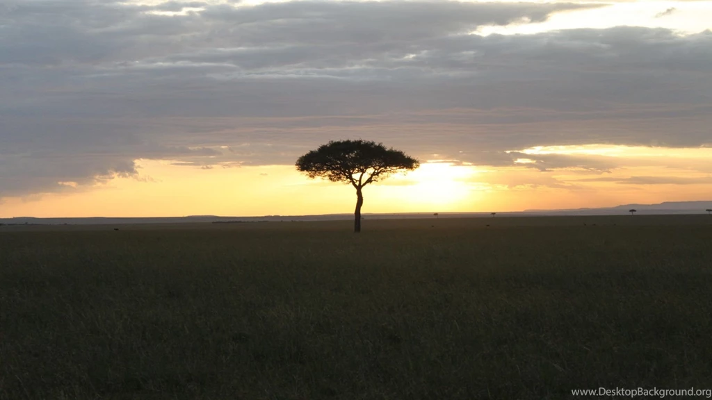 Africa Desktop Backgrounds 1920x1080