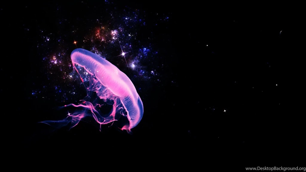 Jellyfish Image.jpg