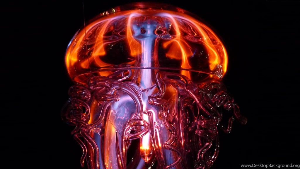 Jellyfish Hot & Cold Light Phenomenon Wallpapers :: HD Wallpapers