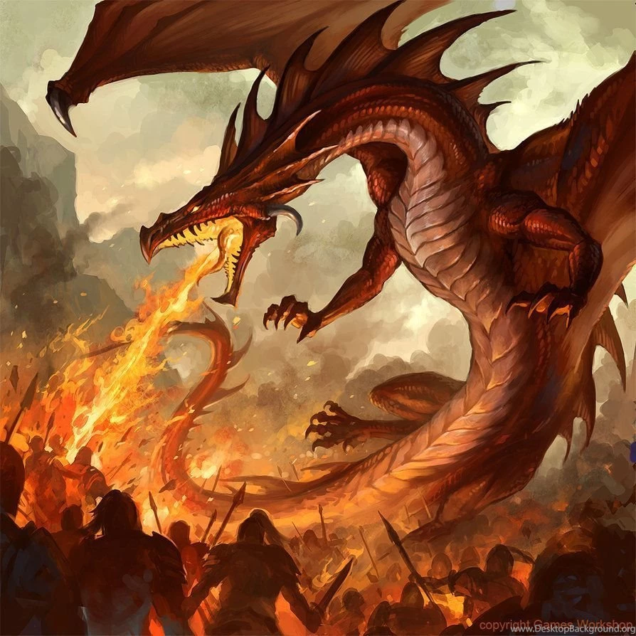 Fire Dragon Wallpapers   500 Collection HD Wallpapers