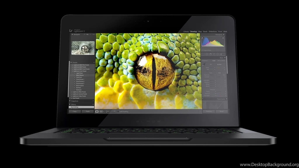 Razer Blade Ultra Thin Gaming Laptop Wallpapers :: HD Wallpapers