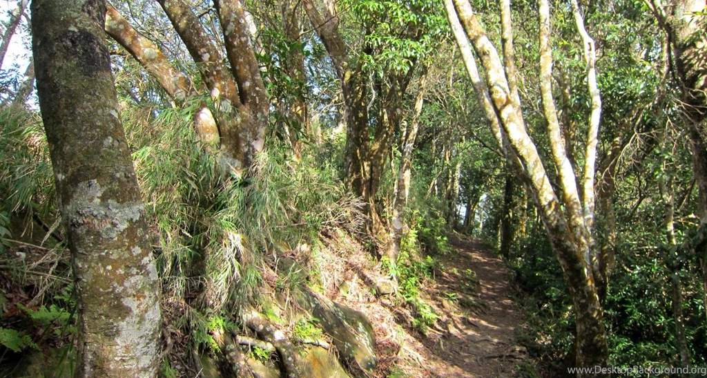 Amazing Views, Nature Wallpapers For Samsung, Hd Landscape ...