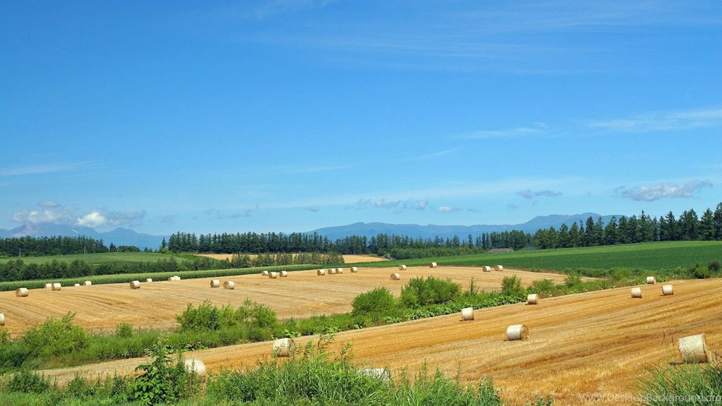 Japan Hokkaido Country Field : Open Field Under Sky1920*1080第20 ...