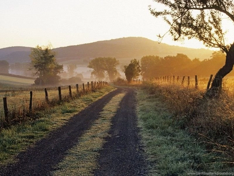 Animal Awesome Full HD Wallpapers Detail