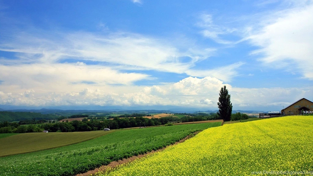 Japan Hokkaido Country Field : Open Field Under Sky1920*1080第33 ...