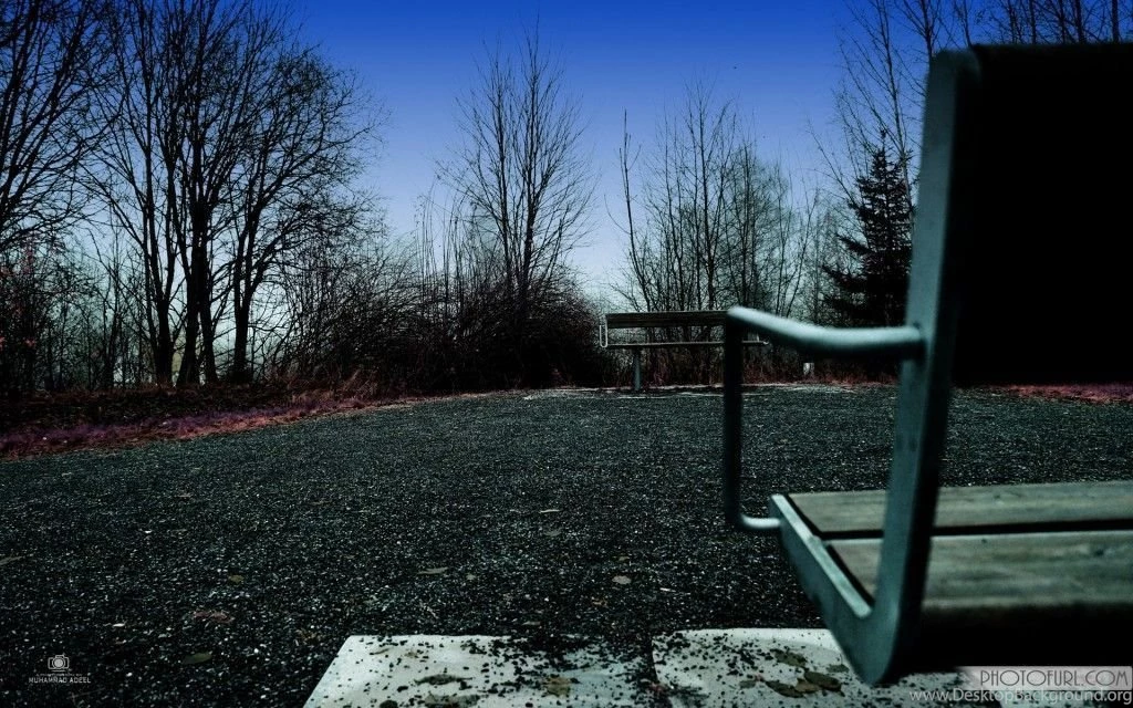 Best Photography Wallpapers Of 2013
