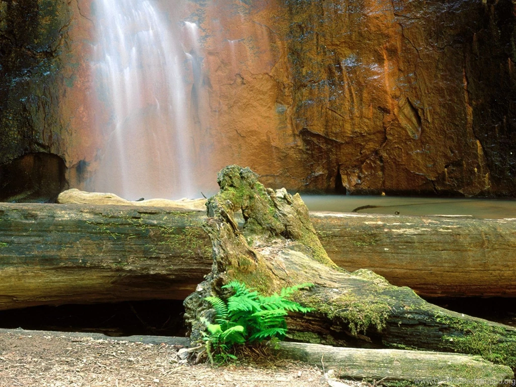 Wallpapers Desktop Backgrounds Nature
