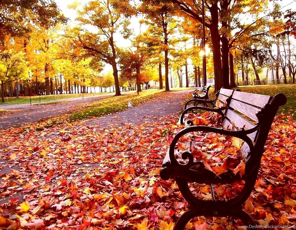 Free Downloadable Wallpapers For PC Autumn Landscape Photos Of ...