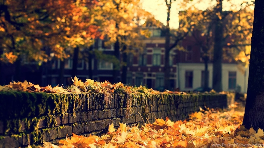 Fall HD Wallpapers HD Wallpaper Backgrounds Of Your Choice