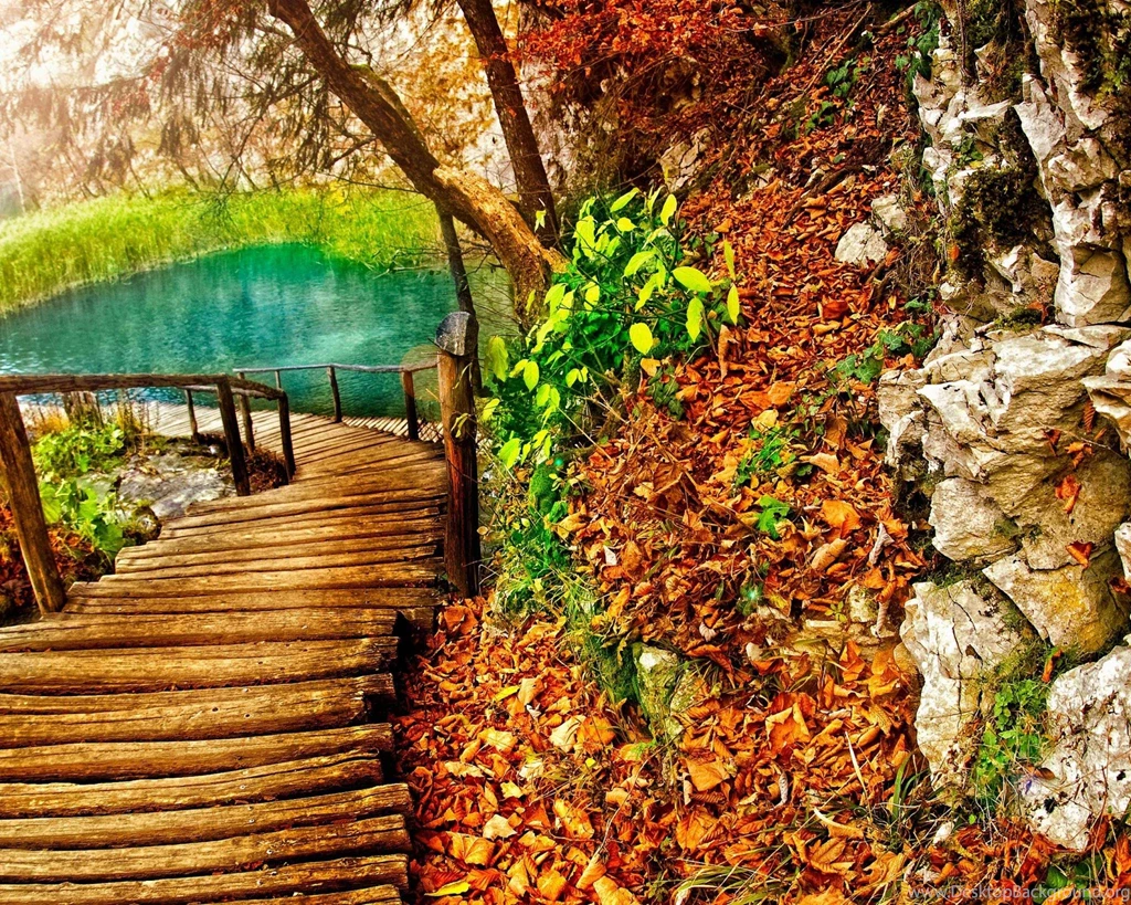 Beautiful Fall Backgrounds