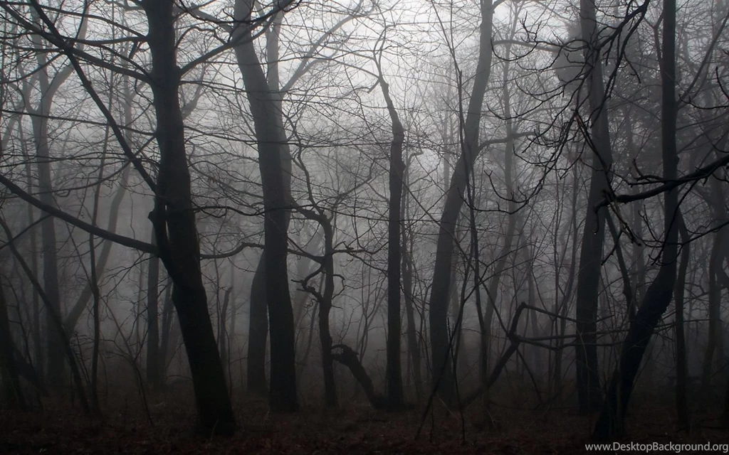 3179) Dark Wolf Full HD Pics Wallpapers WalOps.com