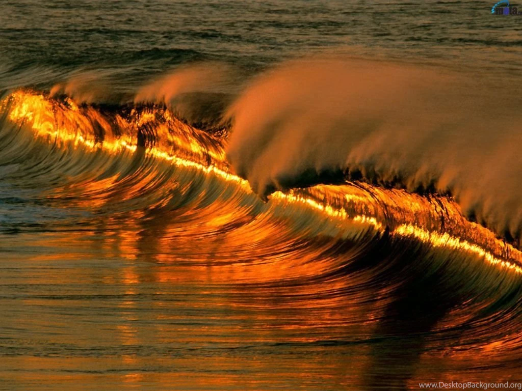 Ocean Waves Lessons TES