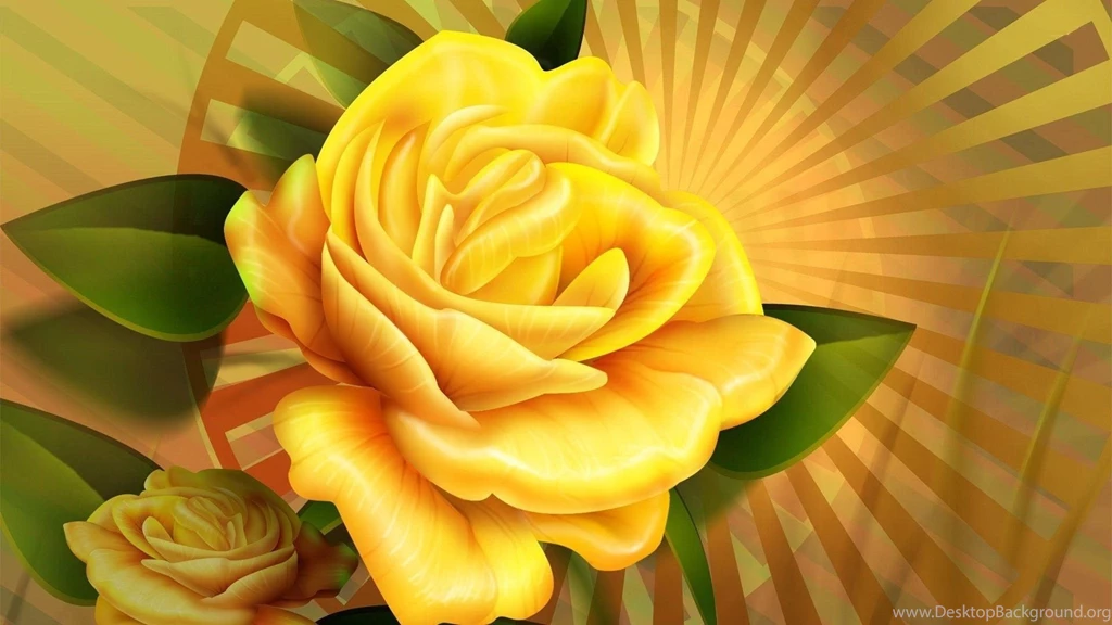 Yellow Rose HD Wallpapers