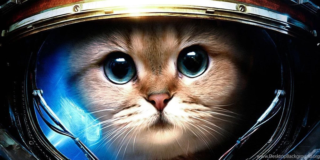 StarCraft II Twitter Cover & Twitter Backgrounds