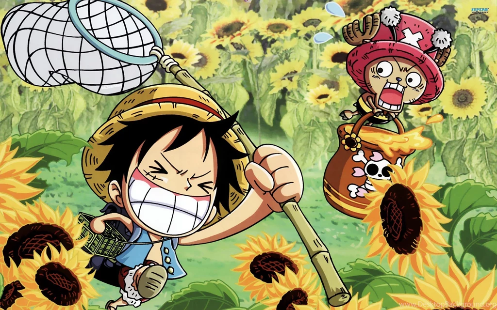 One piece 14102 2560x1600.jpg