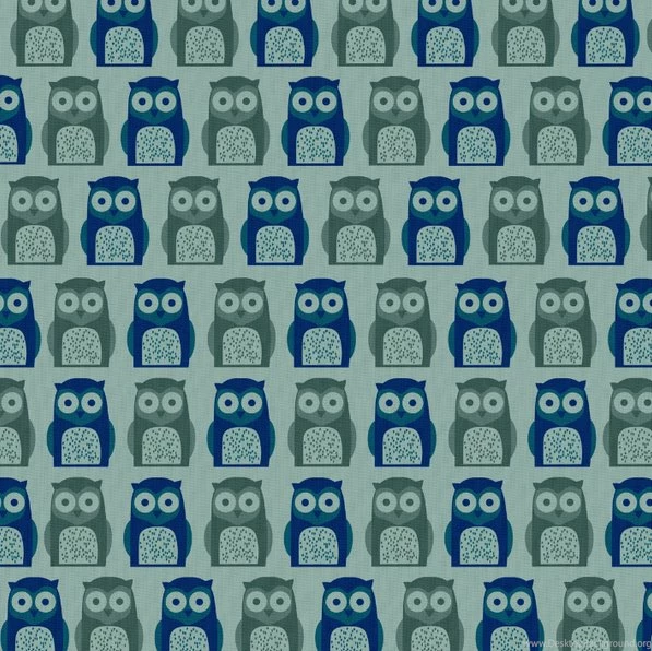 Blue Owl Wallpapers