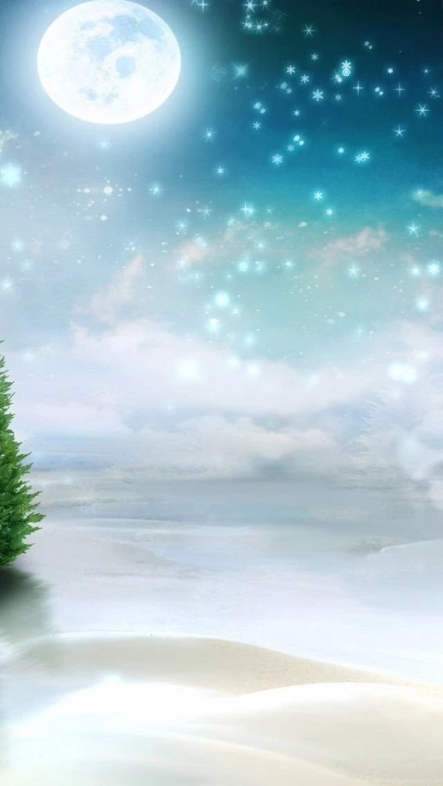 Winter ever greens at night_wallpapers_37717_640x1136.jpg