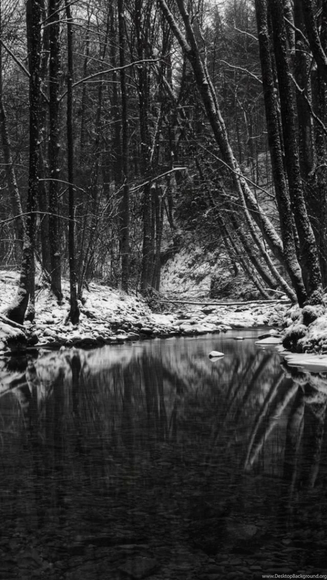 Black White Winter Scene iPhone 5 Wallpapers