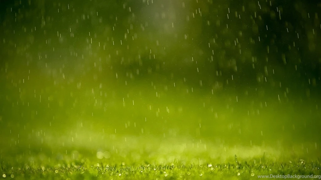Raining Wallpapers