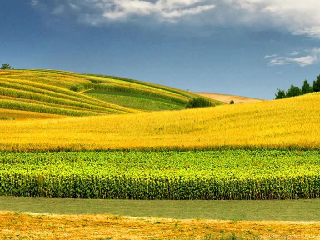 SPRING DESKTOP WALLPAPER (