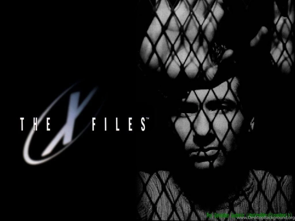 The X Files The X Files Wallpapers (7776111) Fanpop