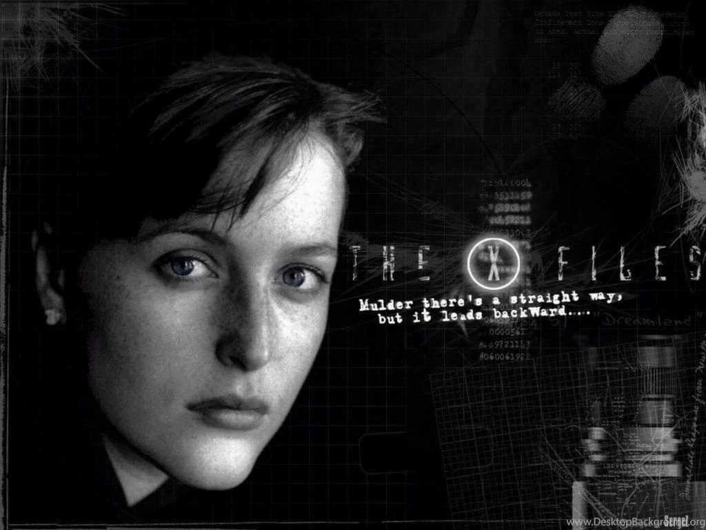 The X Files   The X Files Wallpapers (32260032)   Fanpop