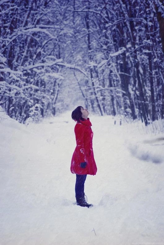 Snowfall Wallpapers Image Wallpapers