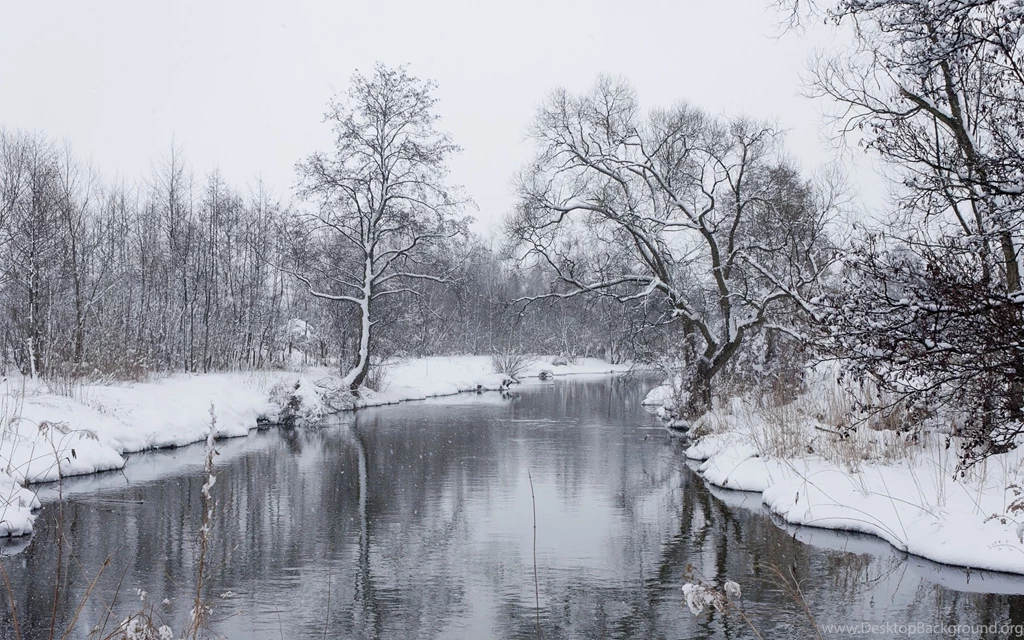 Snowfall Wallpapers