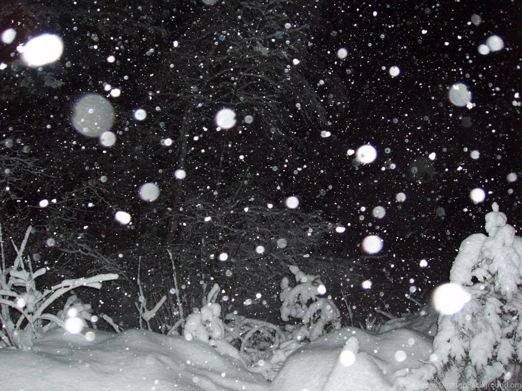 My Free Wallpapers Nature Wallpapers : Snowfall At Night