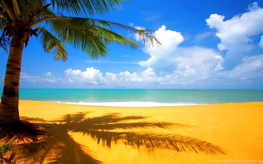 1920x1200px Download Wallpapers Hd Amazing Beach