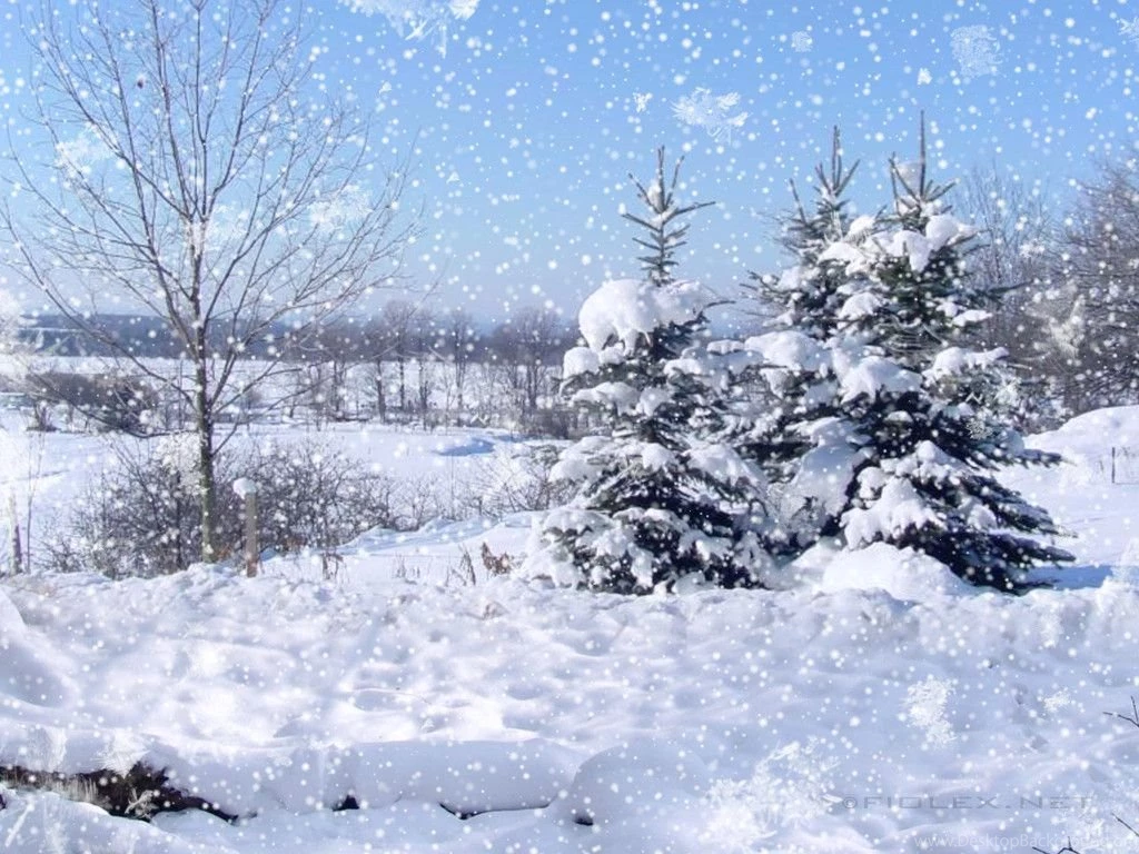 Snowfall Wallpapers Image Wallpapers