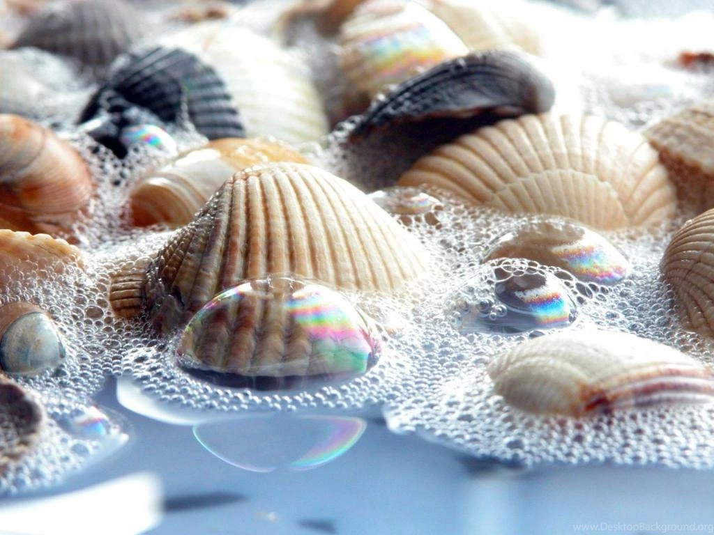 Texture Wallpapers HD 1024x768 Wallpapers, 1024x768 Wallpapers ...