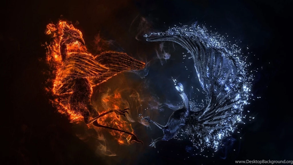 Dragon Yin Yang Wallpapers