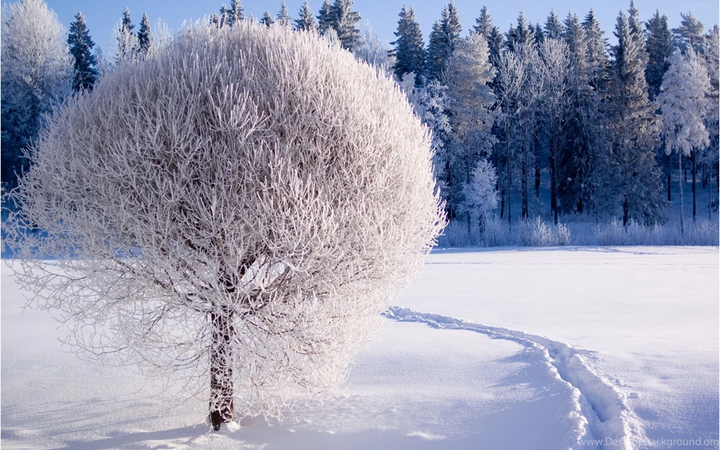 Most Beautiful Winter Wallpapers